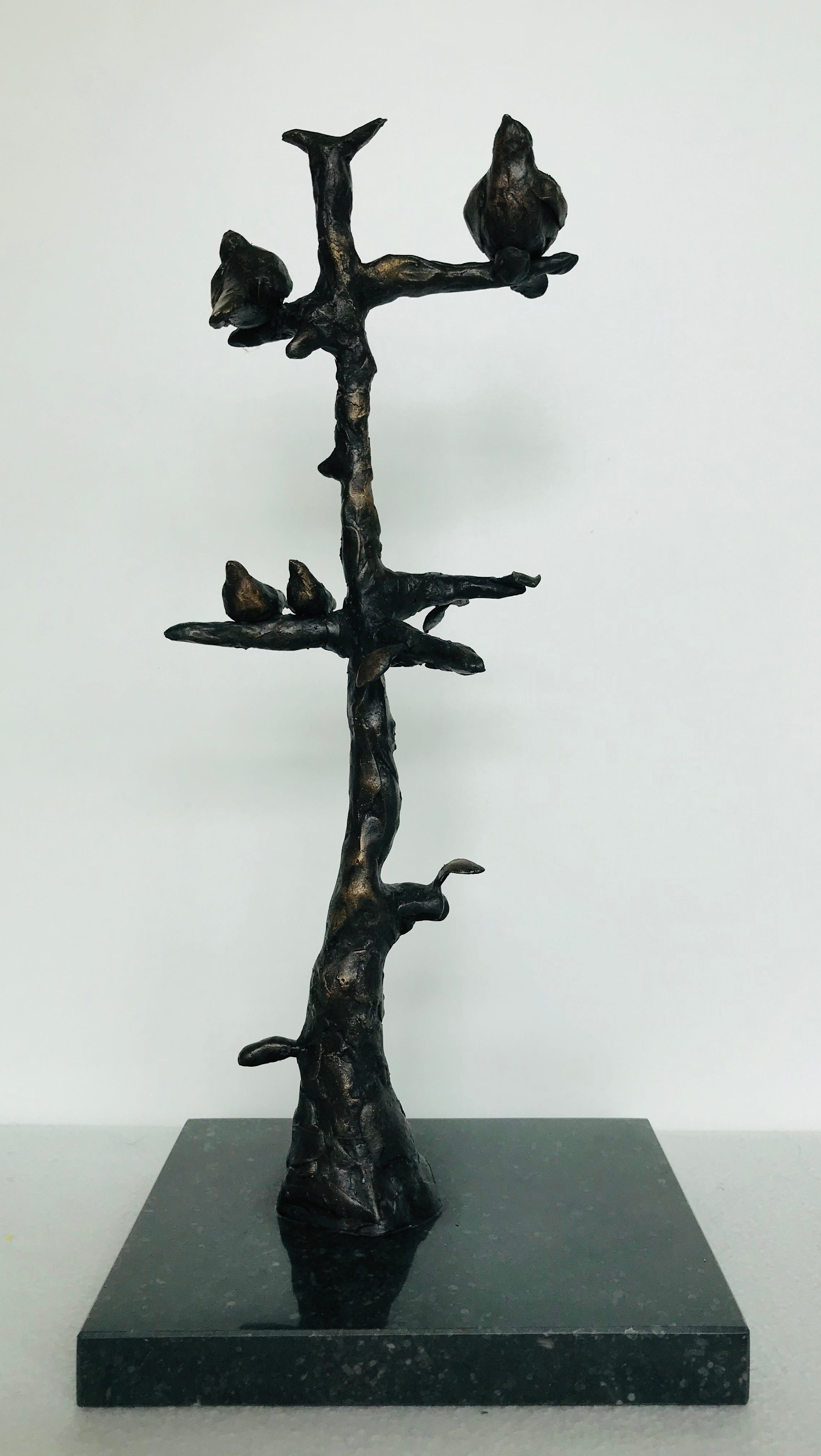 Abstracte kunst sita dotinga
